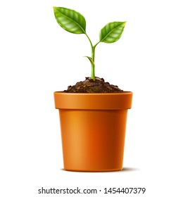 Realistic seedling growing in soil in ceramic pot. Small green sprout with green leaves. Symbol of development, organic agriculture, natural products. Vector gardening plant, symbol of ecology.