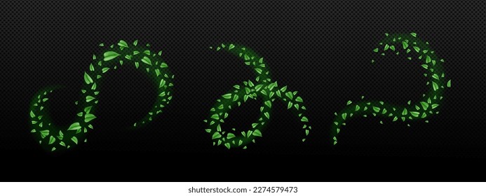 Realistic set of abstract cool air swirls with green leaves isolated on transparent background. Vector illustration of wind flow effect with fresh mint or tea foliage. Organic herbal product, medicine