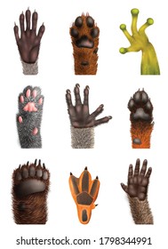 Realistic set of animal bear frog cat monkey penguin racoon koala fox dog paws with claws isolated on white background vector illustration