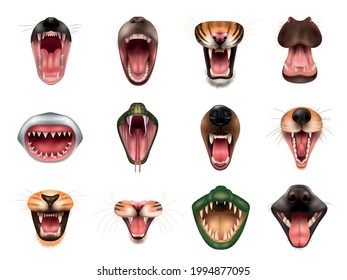 Realistic set with animal open mouths with tiger hippo crocodile cat shark snake fox bear dog monkey lion wolf isolated vector illustration