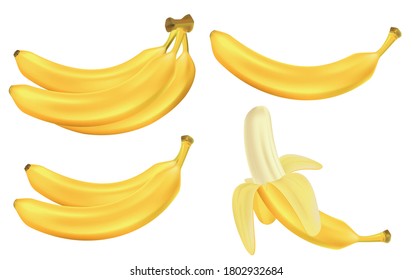 Realistic set of bananas isolated on white. Bunches of fresh yellow banana fruits. Tropical fruits vector illustration