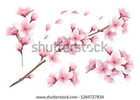 Realistic set of beautiful sakura branches flowers and petals isolated on white background vector illustration