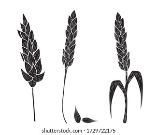 Realistic set of black silhouette ripe wheat isolated on a white background. Vector set of ears of wheat. Cereal crop, agriculture or bakery theme. Vector illustration.