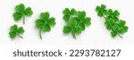 Realistic set of clover leaves isolated on transparent background. Vector illustration of 3D green four and three leaf trifoils. Symbol of good luck, chance to success. Saint Patrick Day icons png