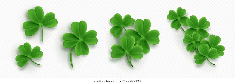 Realistic set of clover leaves isolated on transparent background. Vector illustration of 3D green four and three leaf trifoils. Symbol of good luck, chance to success. Saint Patrick Day icons png