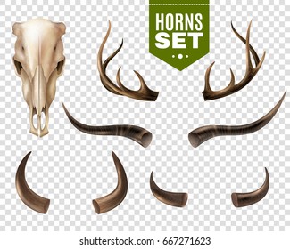 Realistic set of cow skull and horns of different shape isolated on transparent background vector illustration