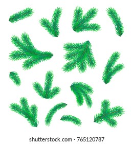 Realistic Set of fir branches. Christmas tree branches - stock vector.