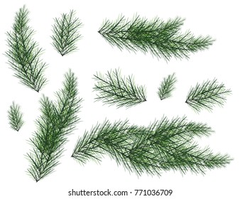 Realistic Set of Green Fir Branches. Christmas tree branches Isolated on white Background for Greeting Card, Flyers, Banners. Vector Illustration.