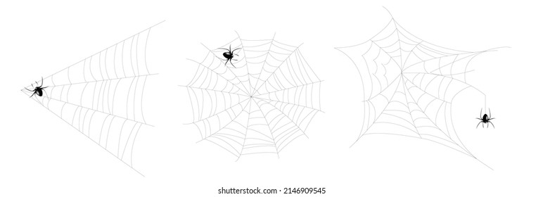 realistic set of spider web for Halloween.  

spider web editable stroke. spider web and 

small spider on a white background.
