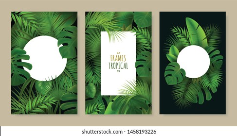 Realistic set of three frames of different shape decorated with tropical green leaves isolated vector illustration