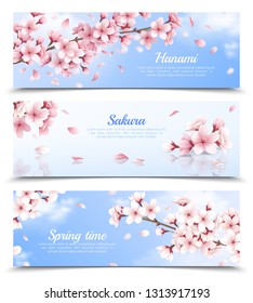 Realistic set of three horizontal banners with blossoming sakura flowers on blue sky background isolated vector illustration