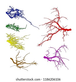  Realistic set of tree branches silhouette (Vector illustration).Different color shades.