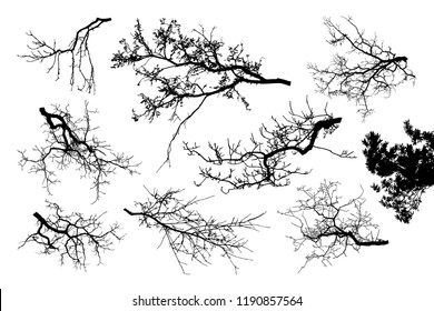 Realistic set of tree branches silhouette (Vector illustration).Eps10