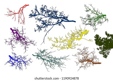 Realistic set of tree branches silhouette (Vector illustration). Different color shades 