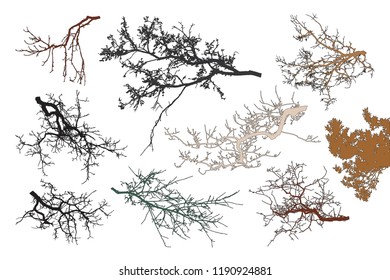 Realistic set of tree branches silhouette (Vector illustration). Different color shades 