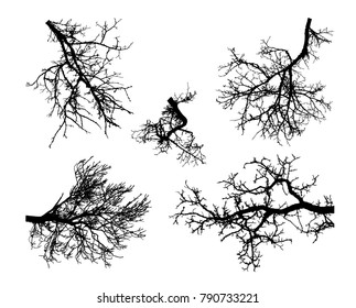 Realistic set of tree branches silhouette (Vector illustration)eps10