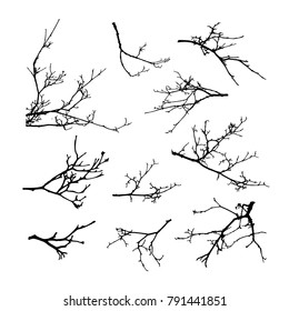 Realistic set of tree branches silhouette (Vector illustration)eps10