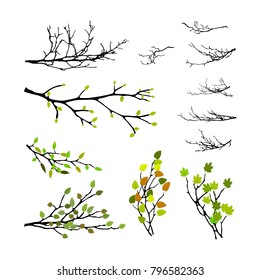 Realistic set of tree branches silhouette (Vector illustration)eps10