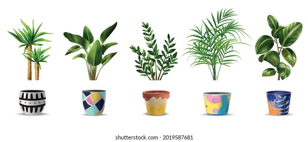 Realistic set of tropical green house plants and colorful patterned pots for them isolated vector illustration