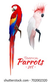 Realistic set of tropical parrots with red blue macaw and cockatoo with pink crest isolated vector illustration