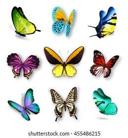 Realistic set with various colorful butterflies isolated on white background vector illustration