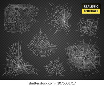 Realistic set of white sophisticated spiderwebs of various forms and sizes on dark transparent background vector illustration