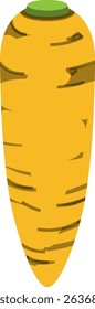 Realistic Shaded Vector of Carrot