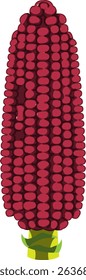 Realistic Shaded Vector of Corn