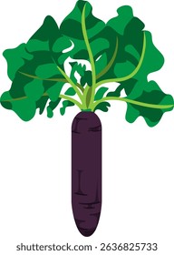 Realistic Shaded Vector of Daikon Radish