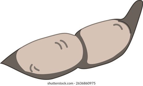 Realistic Shaded Vector of Edamame