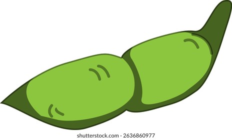 Realistic Shaded Vector of Edamame