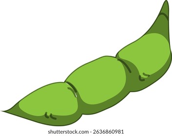Realistic Shaded Vector of Edamame