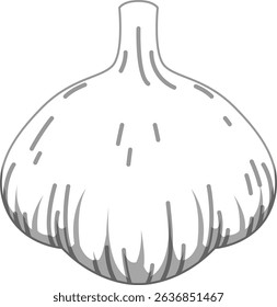 Realistic Shaded Vector of Garlic