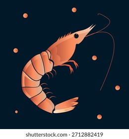 Ilustração de vetor sombreado realista de um camarão cozido em um fundo escuro. Ideal para menus, embalagens de alimentos, blogs gourmet ou design de modelos.