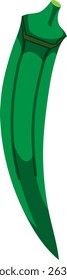 Realistic Shaded Vector of Okra