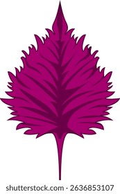 Realistic Shaded Vector of Shiso