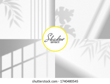 Realistischer Schatteneffekt überlagert mit der Vektorgrafik der Blätter. Natürliche Lichteffekte auf transparentem Hintergrund. Exotisches tropisches Blatt. Dekorative Gestaltungselemente für Collage, Mockup. Speicherplatz kopieren