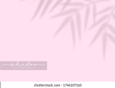 Realistic shadow effect overlays with leaves vector illustration. Tree branch shades isolated on pink background. Decorative design elements. Copy space