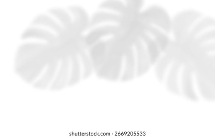 Realistic shadow of monstera leaf. The transparent shadow overlay effect isolated tropical palm leaves. Background illuminated by sunlight through tropical foliage. Vector illustration