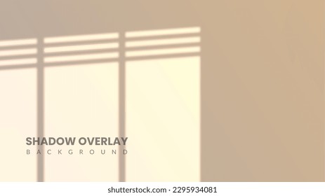 Realistic shadow overlay background. White room interior with sunlight coming through the window. Aesthetic sunrise in the room