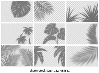 Realistic shadow overlay effect for mockup scenes and backgrounds. Vector set of  transparent soft shadows of tropical leaves, branches, plant, and palm trees. 