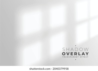 Realistic Shadow Overlay Effect Of Room Window Pane