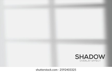 realistic shadow overlay effect of room Window pane, Glare from the sun's rays on the wall. Blurred shadows from leaves and plants in the room. Soft overlay of natural light, Natural light layout.