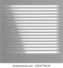 realistic shadow overlay with a natural light effect. Perfect for branding, summer presentations, transparent backgrounds, abstract layouts, and tropical palm-inspired decorative designs. Vector png