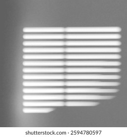 realistic shadow overlay with a natural light effect and transparent background. Perfect for branding, summer presentations, abstract layouts, window reflections, and tropical palm-inspired designs.