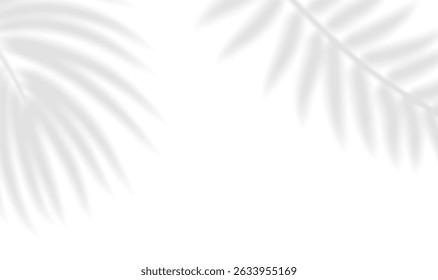 Sombra realista de rama de palma. Abstractas efecto de superposición de sombra transparente hojas tropicales. Maqueta de hojas tropicales transparentes, sombra y rayos naturales. Ilustración vectorial