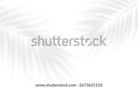 Realistic shadow of palm branch. Transparent shadow overlay effect tropical coconut palm, bamboo, fern leaves. Mockup of tropic leaves shadow and natural lightning. Vector illustration