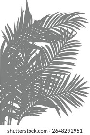  Realistic shadow of palm leaves. Natural palm leaf shadows isolated on transparent background. Tropical coconut branch shade, foliage silhouette decoration. Design element for summer spring projects,