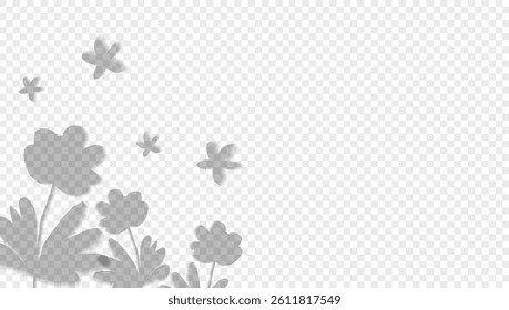 Realistic shadow plant on a transparent background. Overlay leaves. Soft light effect. Poster layout template. Presentation design card Vector.