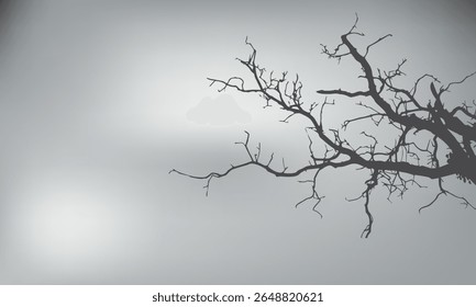  Sombra realista do ramo da árvore. planta deixa sombras isoladas no fundo gradiente preto e branco. sombra do ramo da planta, decoração da silhueta da folhagem. Elemento de projeto para projetos de primavera de verão,